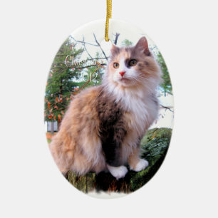 Calico Cat Custom Christmas Keramikornament