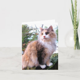 Calico Cat Custom Denken Sie an Sie Karte