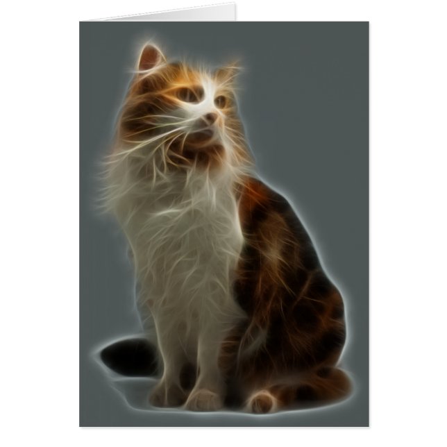 Calico Cat Fraktal (Vorne)