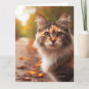 CALICO CAT GEBURTSTAGSKARTE KARTE