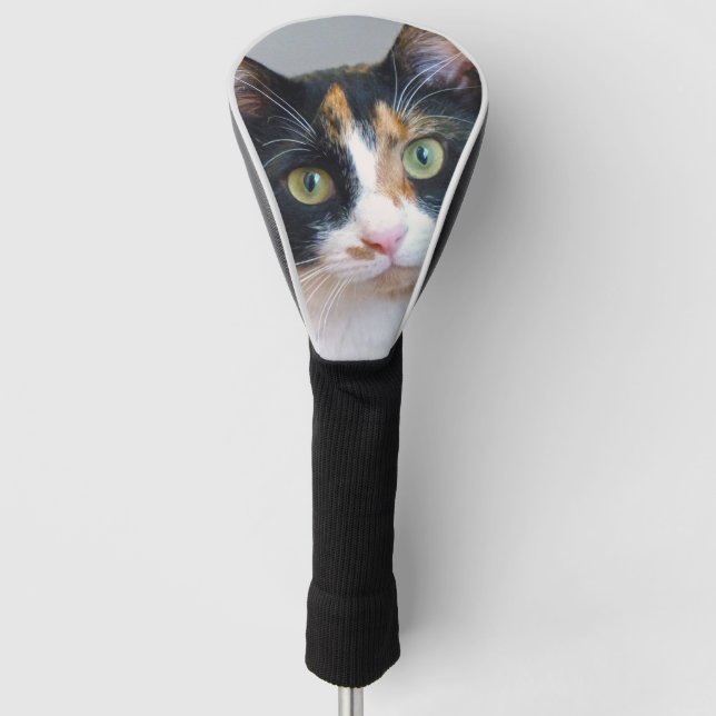 Calico Cat Golf Headcover (Vorderseite)