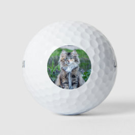 Calico Cat Golfball