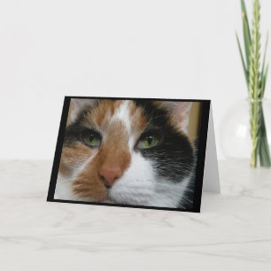 Calico Cat Greeting Card Karte