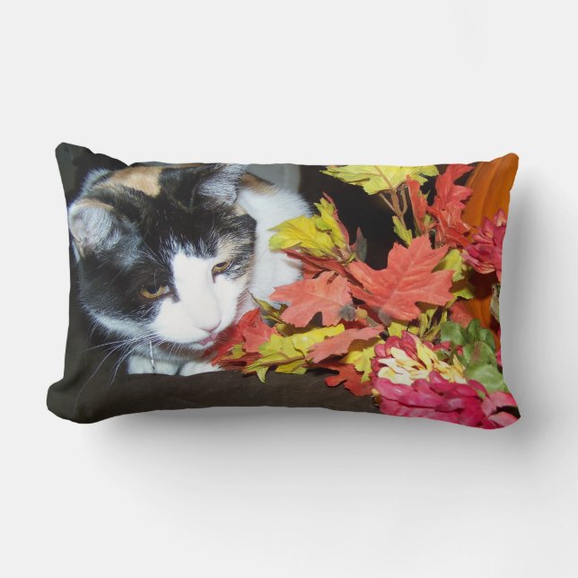 Calico Cat Herbstdekor Pillow Lendenkissen (Vorderseite)