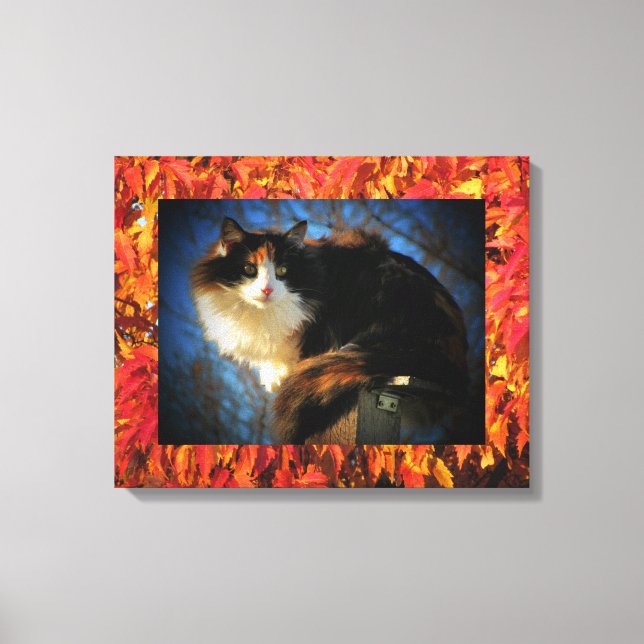 Calico Cat im Herbst Leinwanddruck (Vorderseite)