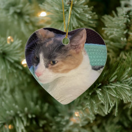 Calico Cat in Cat Bed Keramik Ornament