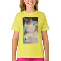 Calico Cat in Cat Bed