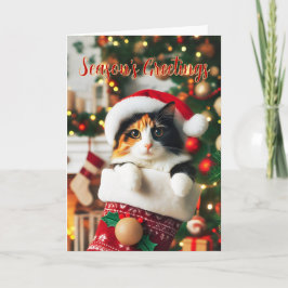 Calico Cat in einem Weihnachtskarten-Strumpf Feiertagskarte