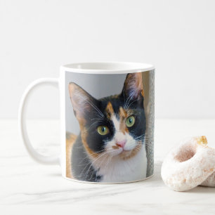 Calico Cat Kaffeetasse