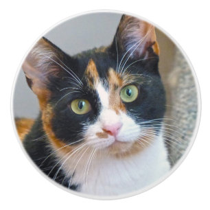 Calico Cat Keramikknauf