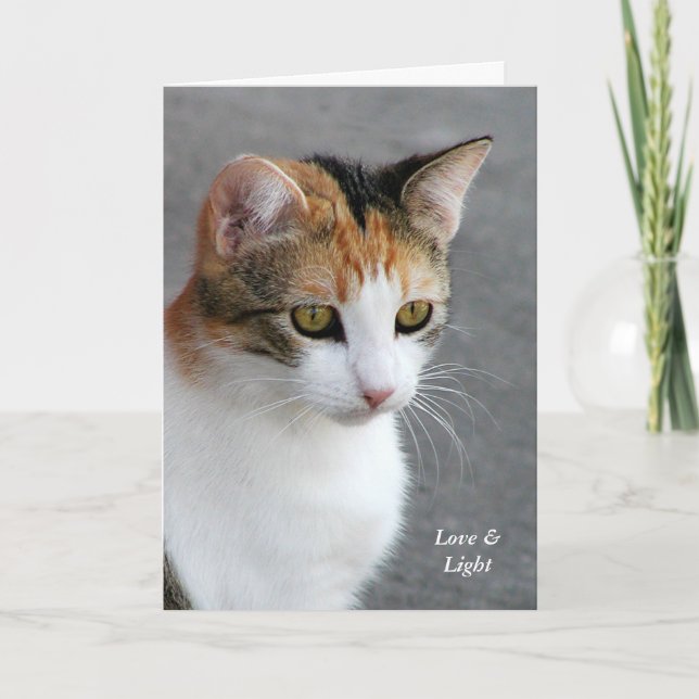 Calico Cat Love & Light Karte (Vorderseite)