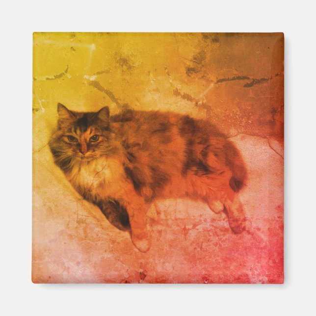 Calico Cat Magnet (Vorne)
