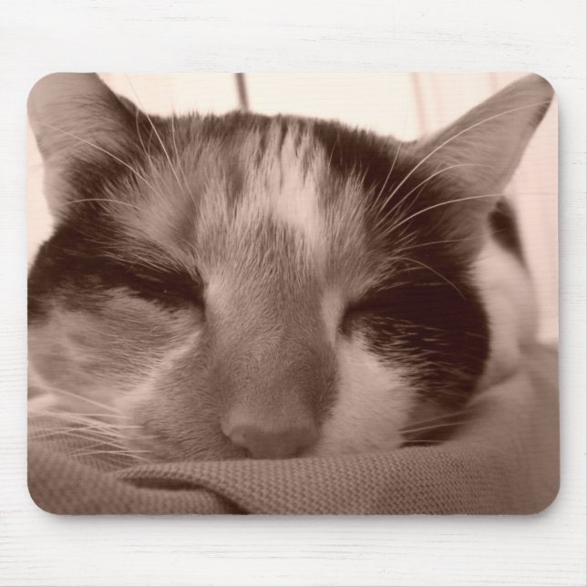 Calico Cat Mousepad (Vorne)