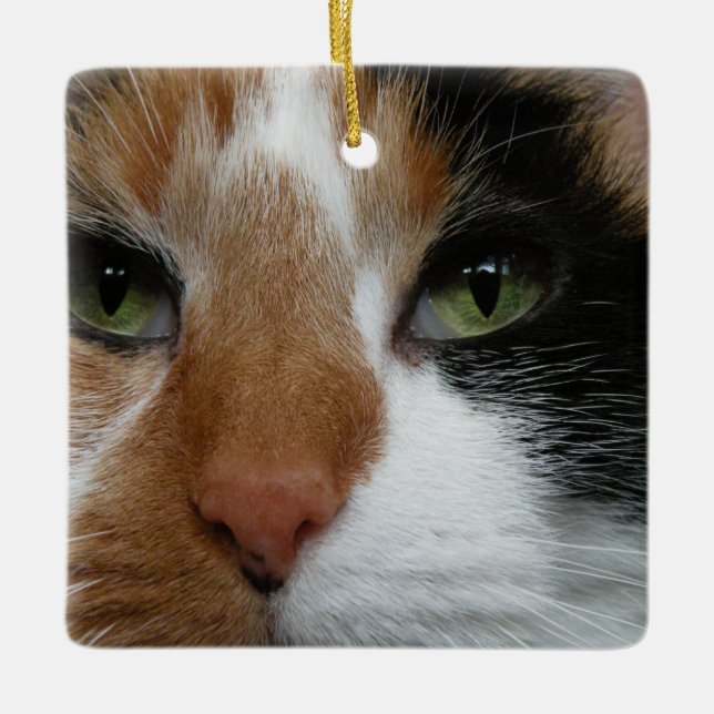 Calico Cat Ornament (Vorderseite)