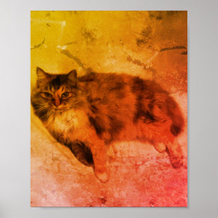 Calico Cat Poster