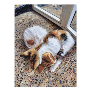 Calico Cat Relaxen friedlich auf texturiertem Bode Fotodruck