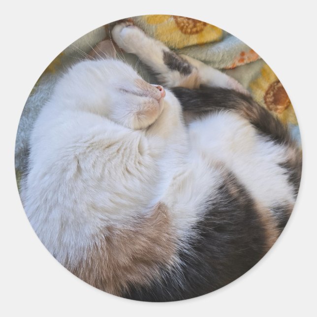 Calico Cat Runder Aufkleber (Vorderseite)