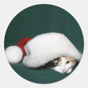Calico cat Santa Aufkleber