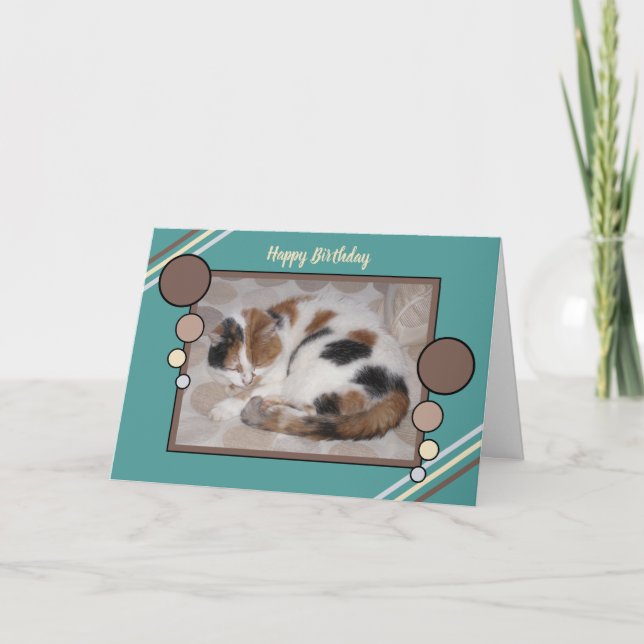 Calico Cat schluchzelt Foto braun Türkis Karte (Vorderseite)