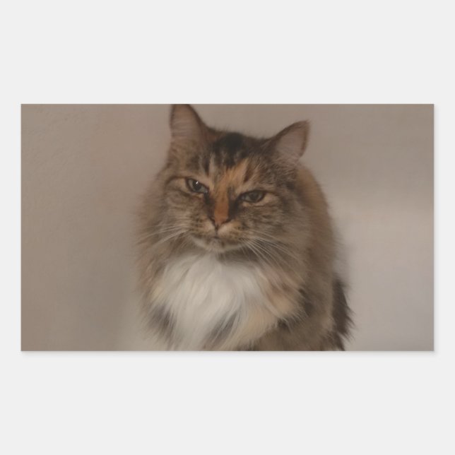 Calico Cat Stickers (Vorderseite)