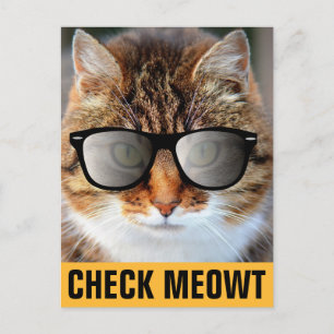 CALICO CAT TRAING SUNGLASSEN POSTCARDS POSTKARTE