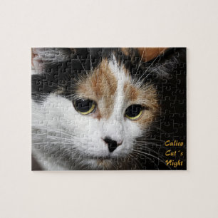 Calico Cat's Night Puzzle