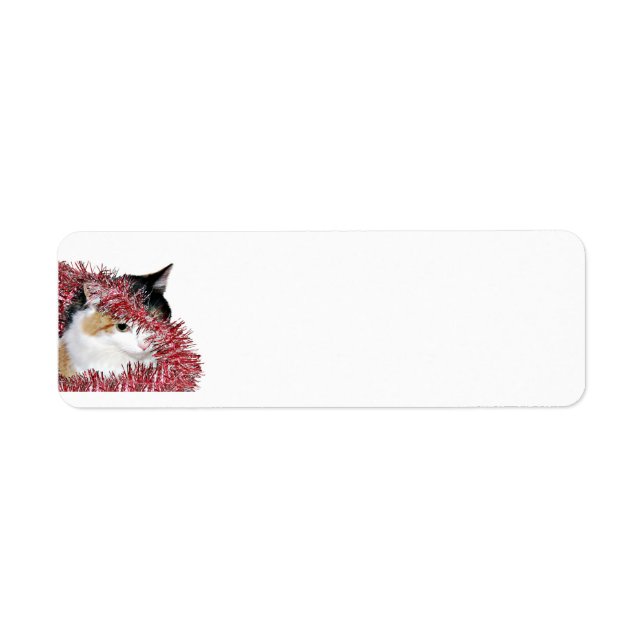 Calico Christmas kitty (Vorne)