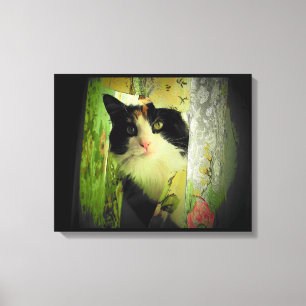 Calico Curtain Cat Leinwanddruck