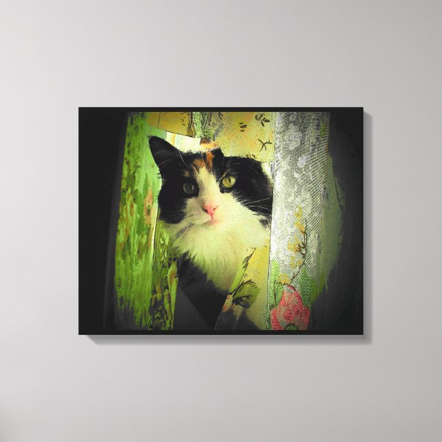Calico Curtain Cat Leinwanddruck (Vorderseite)