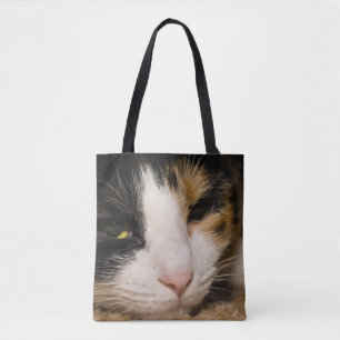 Calico Face