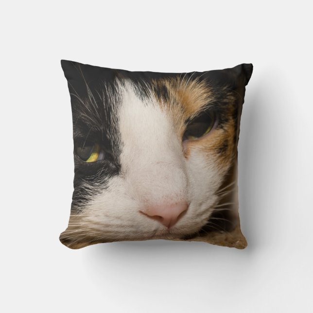 Calico Face Kissen (Vorderseite)
