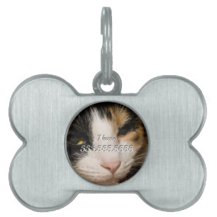 Calico Face Pet Tag Tiermarke