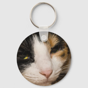 Calico Face Schlüsselanhänger