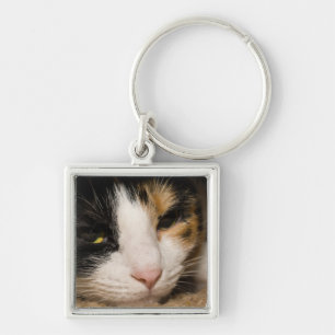 Calico Face Schlüsselanhänger