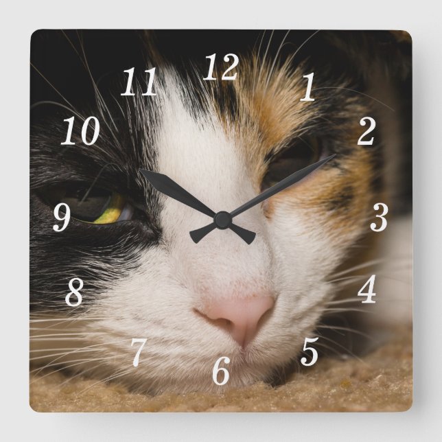 Calico Face Wall Clock Quadratische Wanduhr (Vorderseite)