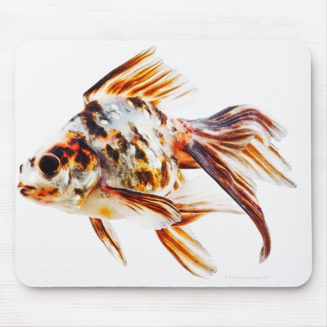 Calico Fantail Comet Goldfish Mousepad (Vorne)