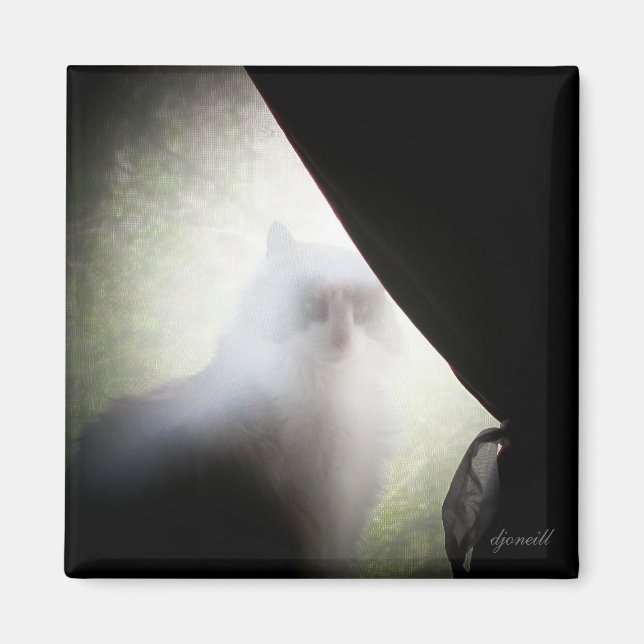 Calico Ghost Cat von djoneill Magnet (Vorne)