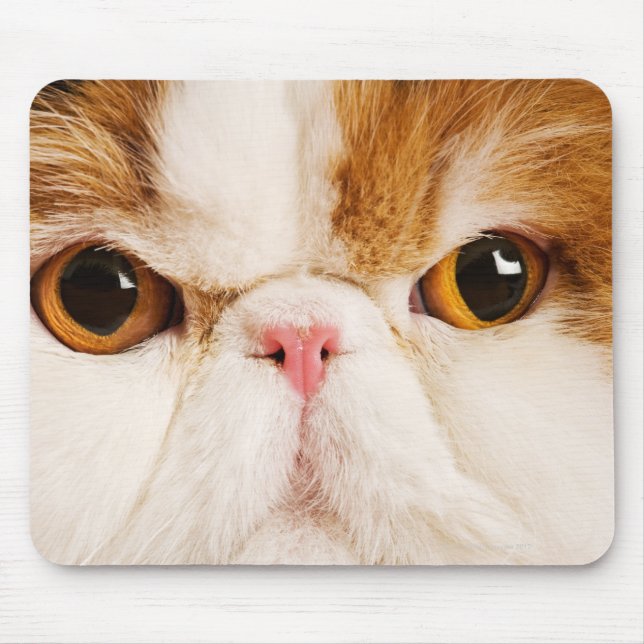 Calico Harlequin Persian Mousepad (Vorne)