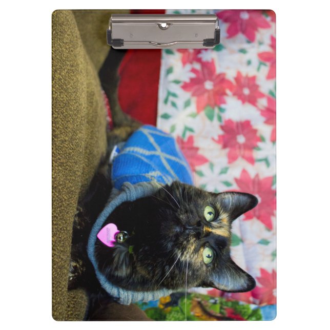 Calico II Klemmbrett (Vorderseite)