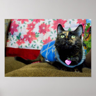 Calico II Poster