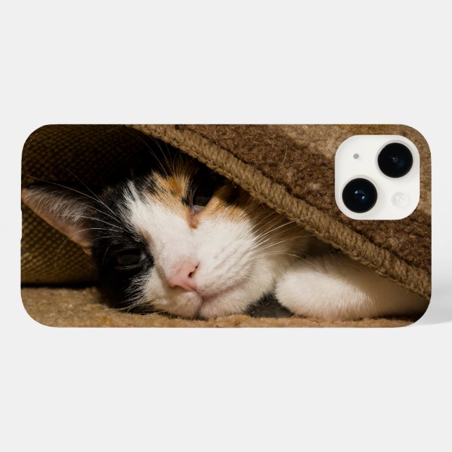 Calico im Fall Rug iPhone Case-Mate iPhone Hülle (Rückseite (Horizontal))