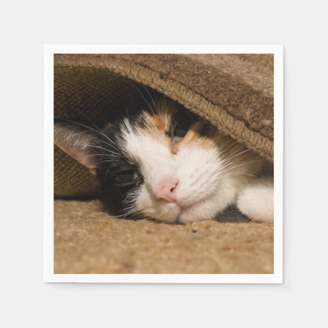 Calico im Rug Serviette (Vorderseite)