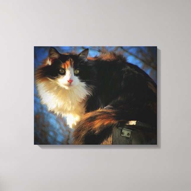 Calico Kat im Wind Leinwanddruck (Vorderseite)