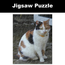 Calico Katze im Freien Puzzle