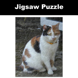 Calico Katze im Freien Puzzle