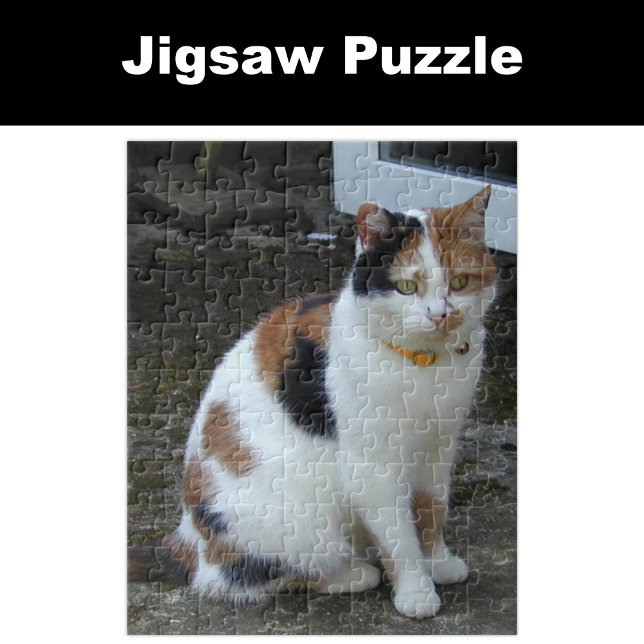 Calico Katze im Freien Puzzle (Von Creator hochgeladen)