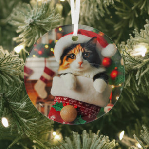 Calico Katze im Strumpf Glasdekoration Ornament Aus Glas