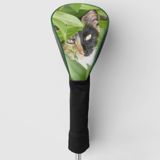 Calico Katze im Zinnias Golf Golf Headcover (Vorderseite)