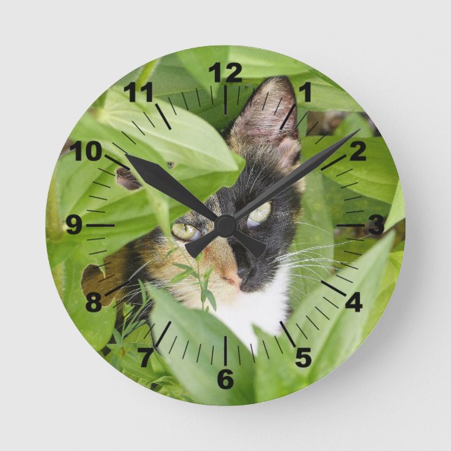 Calico Katze in den Zinnien Runde Wanduhr (Vorderseite)