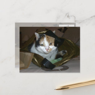 Calico-Katze in einem Einkaufstasche Postkarte